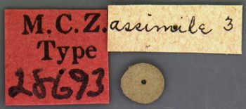 Media type: image;   Entomology 28693 Aspect: labels